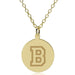 Bucknell 14K Gold Pendant & Chain