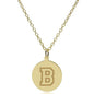 Bucknell 14K Gold Pendant & Chain Shot #2