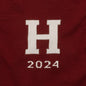 Harvard Class of 2024 Maroon and Ivory Sweater by M.LaHart Shot #2