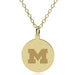 Michigan 14K Gold Pendant & Chain