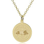 Michigan State 14K Gold Pendant & Chain Shot #1