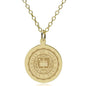 Notre Dame 14K Gold Pendant & Chain Shot #1