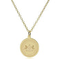 Penn State 18K Gold Pendant & Chain Shot #2