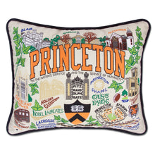 Princeton Embroidered Pillow Shot #1