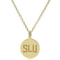 SLU 14K Gold Pendant & Chain Shot #2