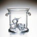 Texas Longhorns Glass Ice Bucket by Simon Pearce