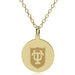 Tulane 18K Gold Pendant & Chain