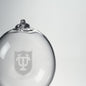 Tulane Glass Ornament by Simon Pearce Shot #2