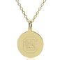 University of South Carolina 14K Gold Pendant & Chain Shot #1