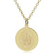 University of Tennessee 14K Gold Pendant & Chain