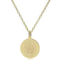 University of Tennessee 14K Gold Pendant & Chain Shot #2