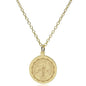 UVA 14K Gold Pendant & Chain Shot #2