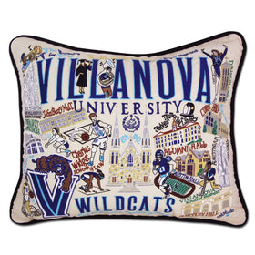 Villanova Embroidered Pillow Shot #1