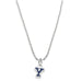 Yale Sterling Silver Necklace with Enamel Charm
