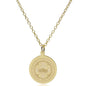 BU 14K Gold Pendant & Chain