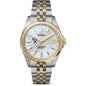 HBS Shinola Watch, The Circadian Monster 36 mm