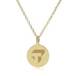 Tepper 14K Gold Pendant & Chain
