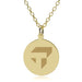 Tepper 18K Gold Pendant & Chain