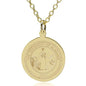 Alabama 18K Gold Pendant & Chain Shot #2