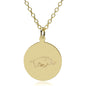 Arkansas Razorbacks 18K Gold Pendant & Chain Shot #1