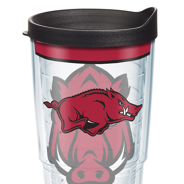 Arkansas Razorbacks 24 oz. Tervis Tumblers - Set of 2 Shot #2