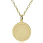 Auburn 14K Gold Pendant & Chain Shot #1