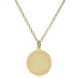 Auburn 14K Gold Pendant & Chain Shot #2