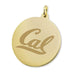 Berkeley 14K Gold Charm