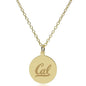 Berkeley 14K Gold Pendant & Chain Shot #2