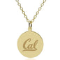 Berkeley 18K Gold Pendant & Chain Shot #1