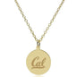 Berkeley 18K Gold Pendant & Chain Shot #2