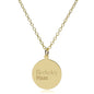 Berkeley Haas 14K Gold Pendant & Chain Shot #2