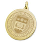 Boston College 14K Gold Charm Shot #2