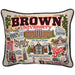 Brown Embroidered Pillow
