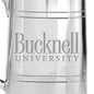 Bucknell Pewter Stein Shot #2