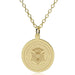 Carnegie Mellon 14K Gold Pendant & Chain