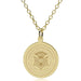 Carnegie Mellon 14K Gold Pendant & Chain
