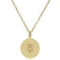 Carnegie Mellon 14K Gold Pendant & Chain Shot #2
