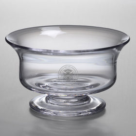 Carnegie Mellon Simon Pearce Glass Revere Bowl Med Shot #1