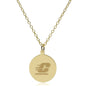 Central Michigan 14K Gold Pendant & Chain Shot #2