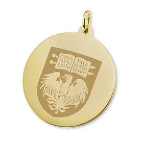 Chicago 18K Gold Charm Shot #1