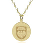 Chicago 18K Gold Pendant & Chain Shot #1