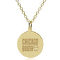 Chicago Booth 14K Gold Pendant & Chain Shot #1