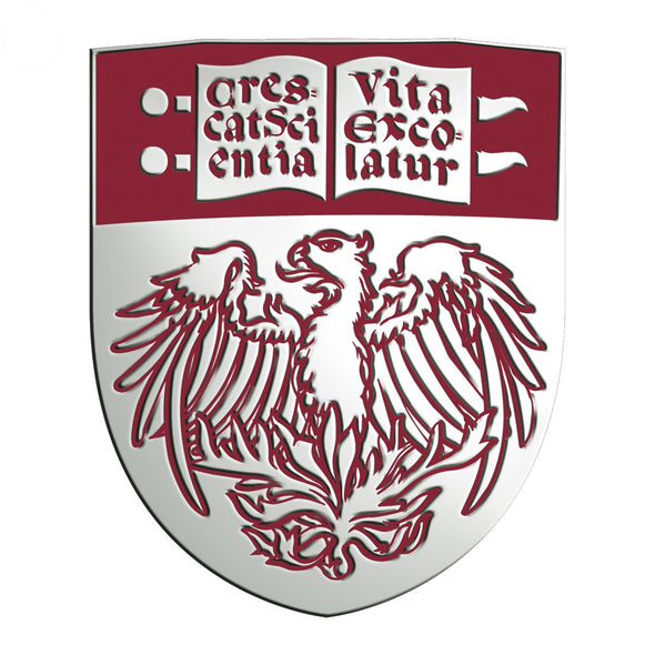 Chicago Booth Diploma Frame - Excelsior Shot #3