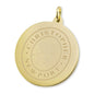Christopher Newport University 18K Gold Charm Shot #1