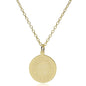 CNU 14K Gold Pendant & Chain Shot #2