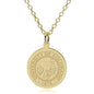 Colorado 14K Gold Pendant & Chain Shot #1