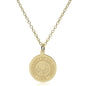 Colorado 14K Gold Pendant & Chain Shot #2