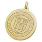 Cornell 14K Gold Charm Shot #2