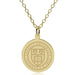 Cornell 14K Gold Pendant & Chain